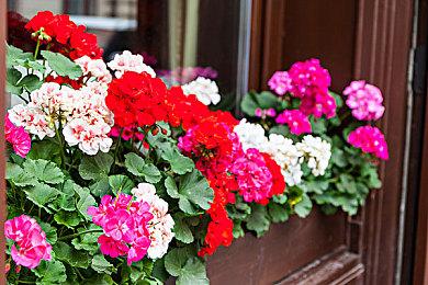 武侠模拟经营游戏《宗门起源》新实机视频发布